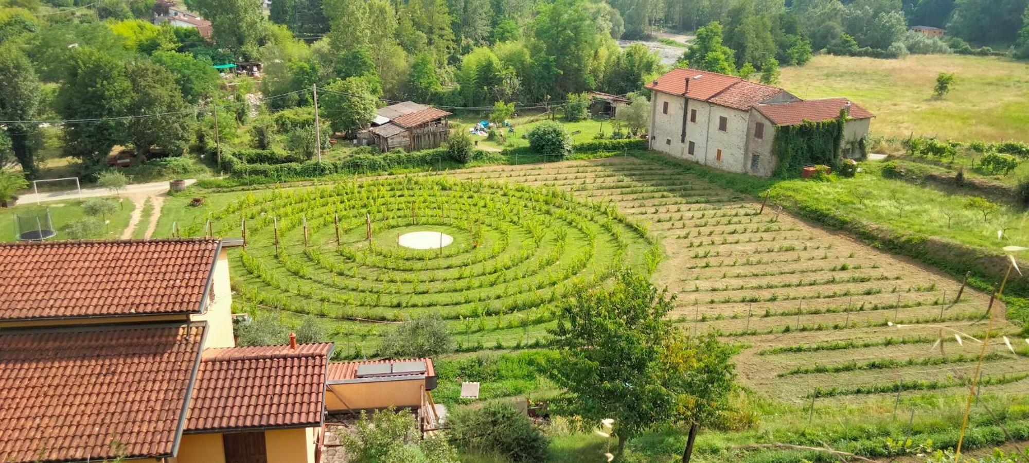 Agriturismo Il Poderetto Licciana Nardi Экстерьер фото