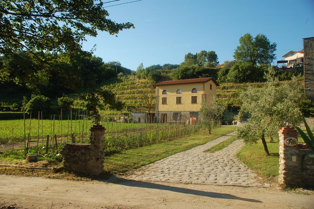 Agriturismo Il Poderetto Licciana Nardi Экстерьер фото