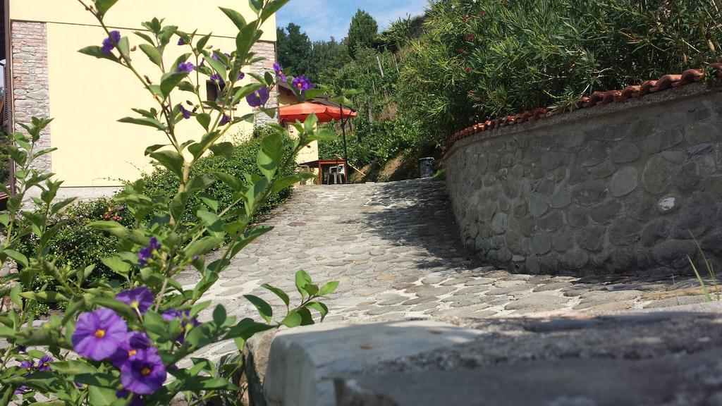 Agriturismo Il Poderetto Licciana Nardi Экстерьер фото